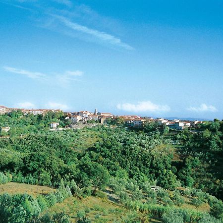 Apartment Il Felciaione-2 By Interhome Riparbella Luaran gambar